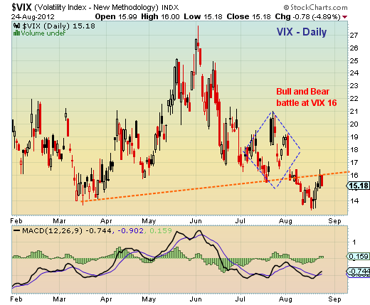 vix_daily_082412.png