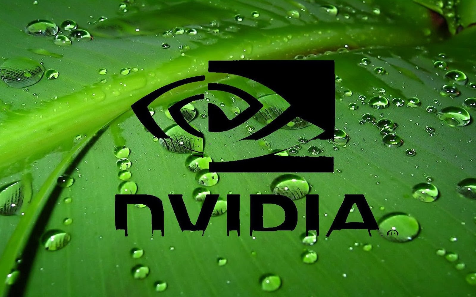 nvidia_wallpapers_8.jpg