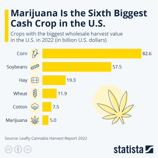 weed_6th_biggest_crop_chart_0.jpeg