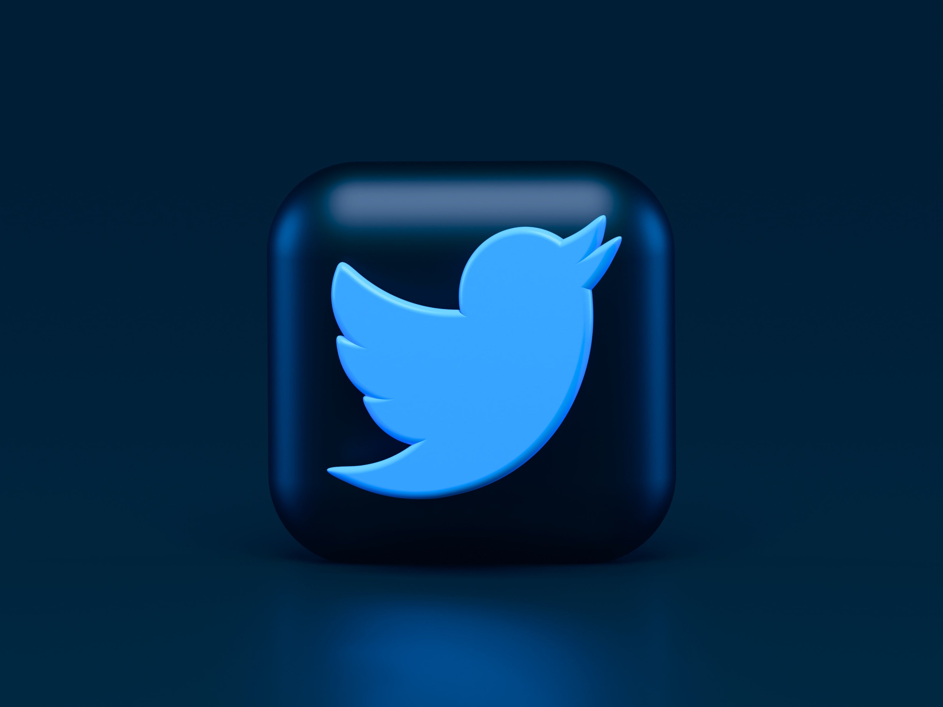 Why Cathie Wood Bought 72 4m In Twitter As Stock Tanked Post Earnings Report Twitter Twtr Benzinga