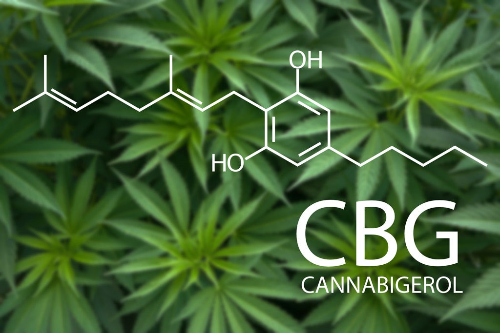 CBG, The Mother Of Cannabinoids, Is In The Spotlight | Benzinga