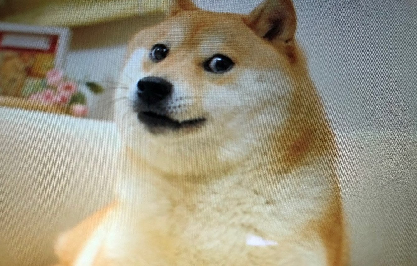 Trading dogecoin reddit