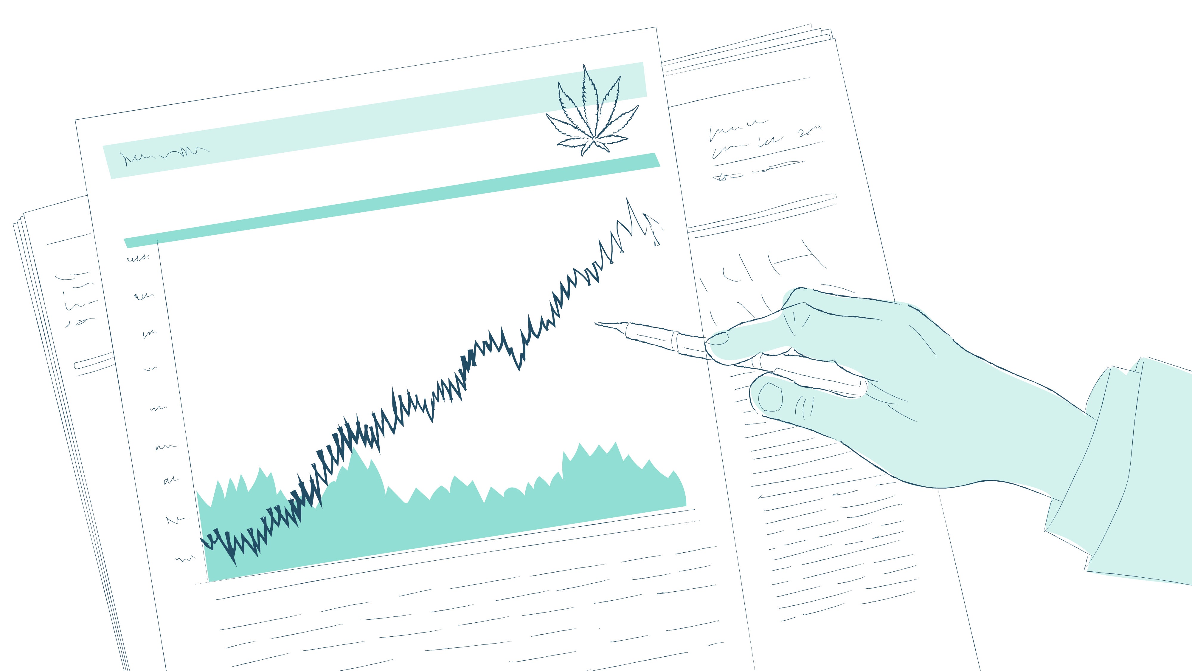 Cnxxf Stock Predictions