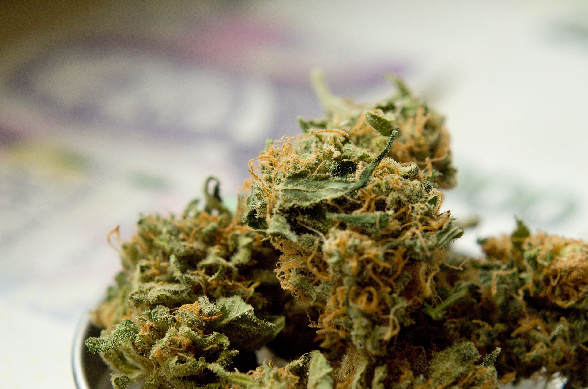 The New Cannabis Etf Makes Some Additions Benzinga