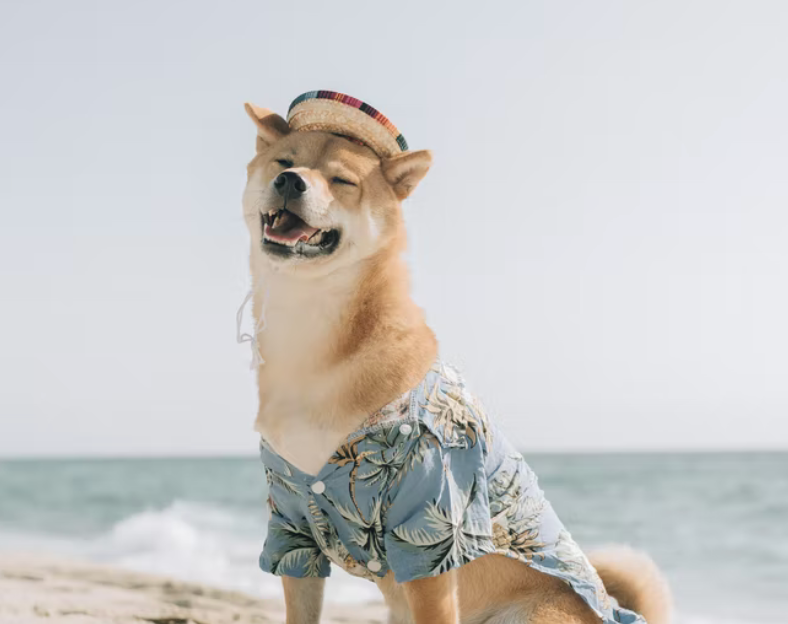 shiba inu hawaiian shirt