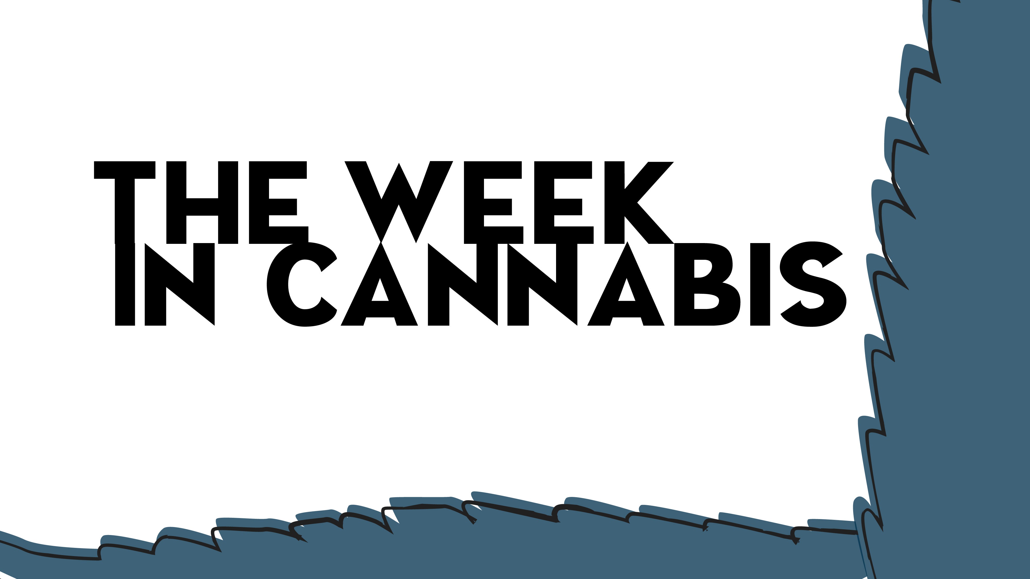 The Week In Cannabis Stocks Up By Double Digits As Legalization Momentum Grows Benzinga