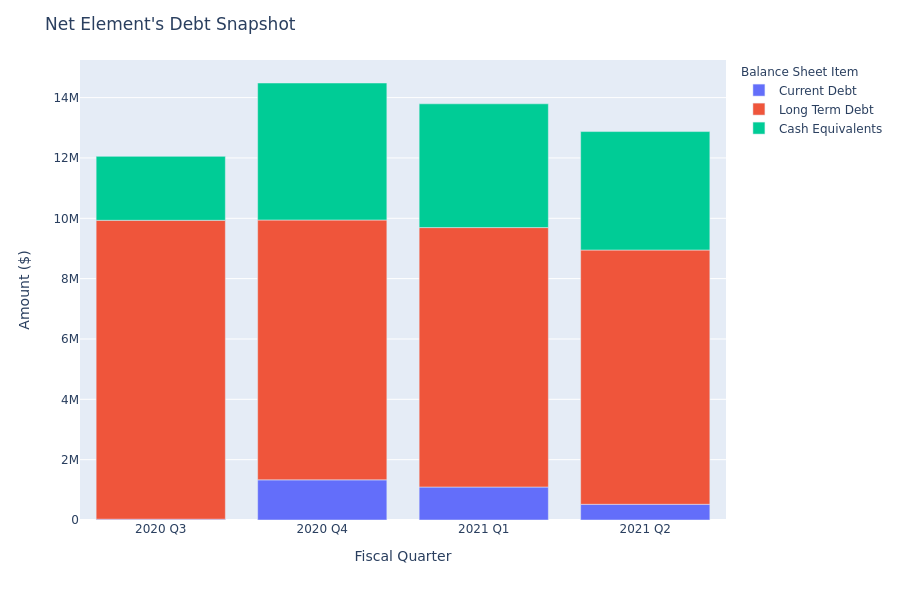 What Does Net Element's Debt Look Like?