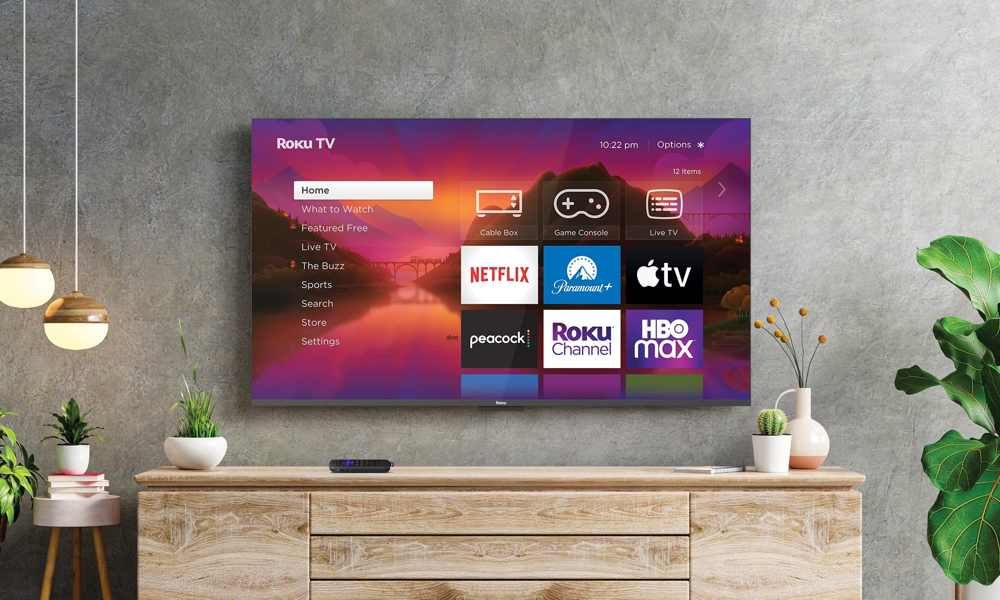 Roku Revenue Flat in Q4, Roku Channel Reaches 100 Million U.S. Viewers