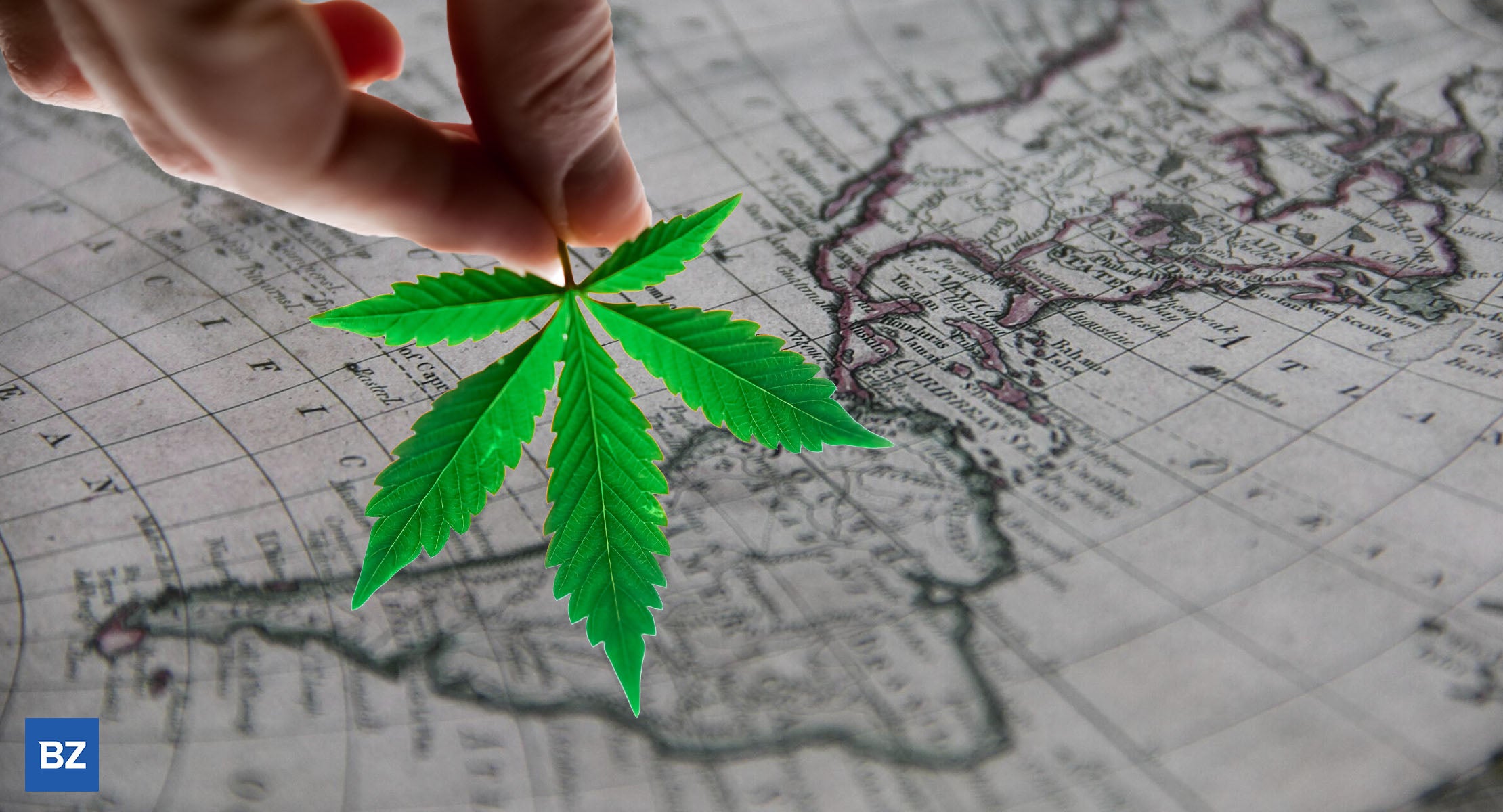 Netherlands Cannabis - Latest News And Breaking Headlines - Benzinga