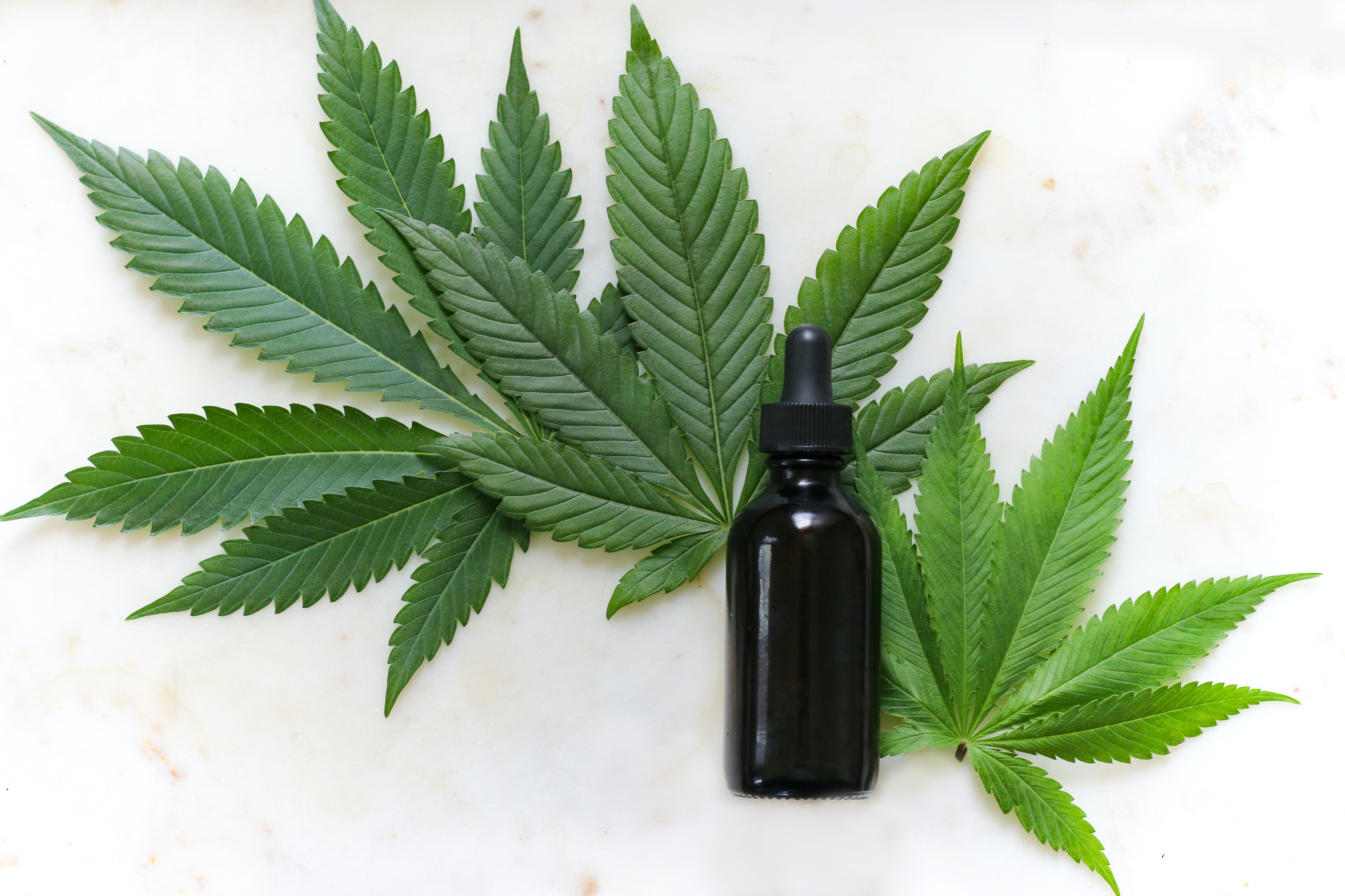 Canadian Weed Giant Ventures Into Brazilian CBD Market Via New Partnership  - Aurora Cannabis (NASDAQ:ACB) - Benzinga