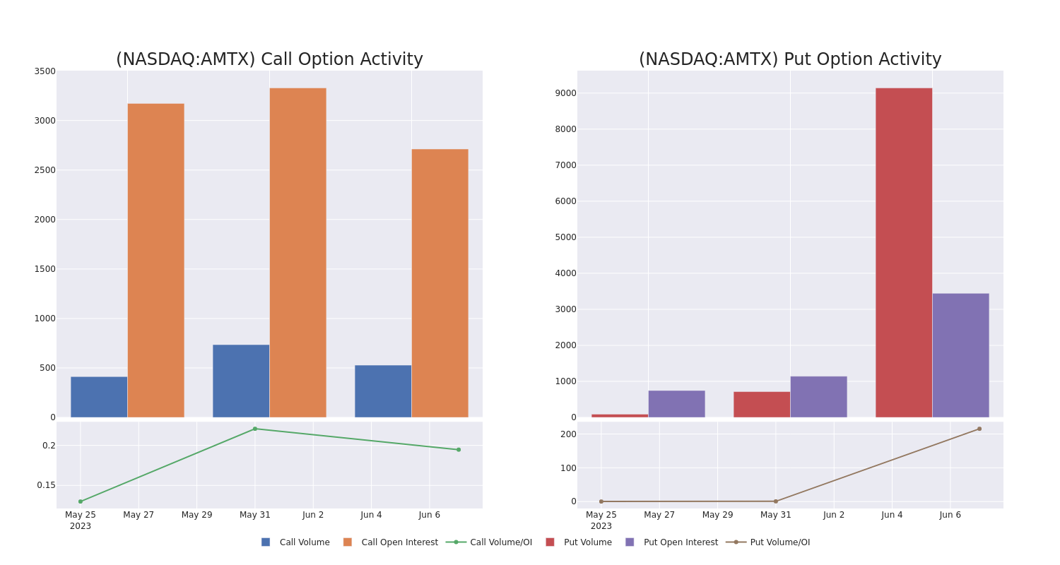 Options Call Chart