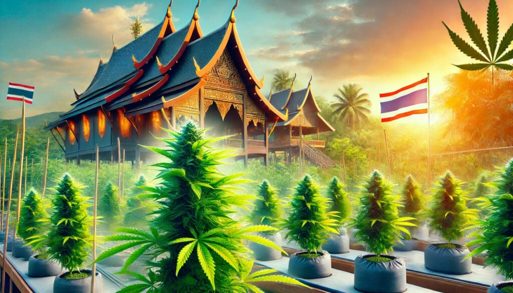 Thailand&#39;s New Cannabis Bill: Stricter Rules, But Marijuana Remains Legal