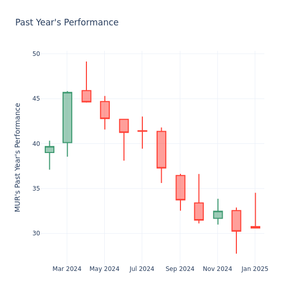 Past Year Chart