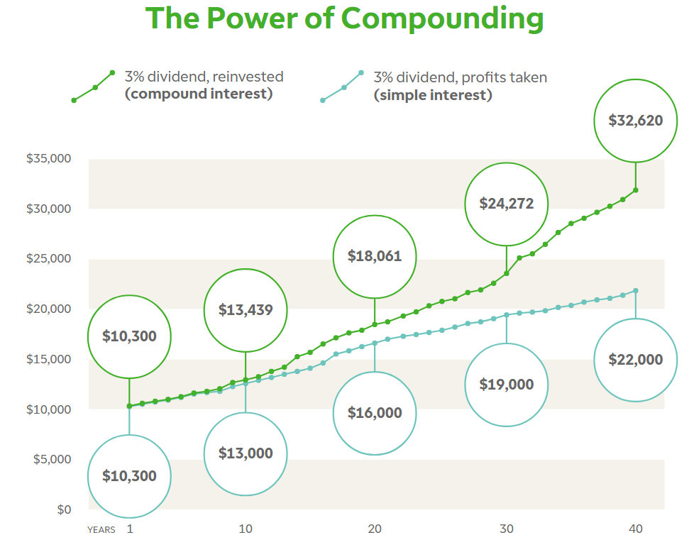 dividend.png