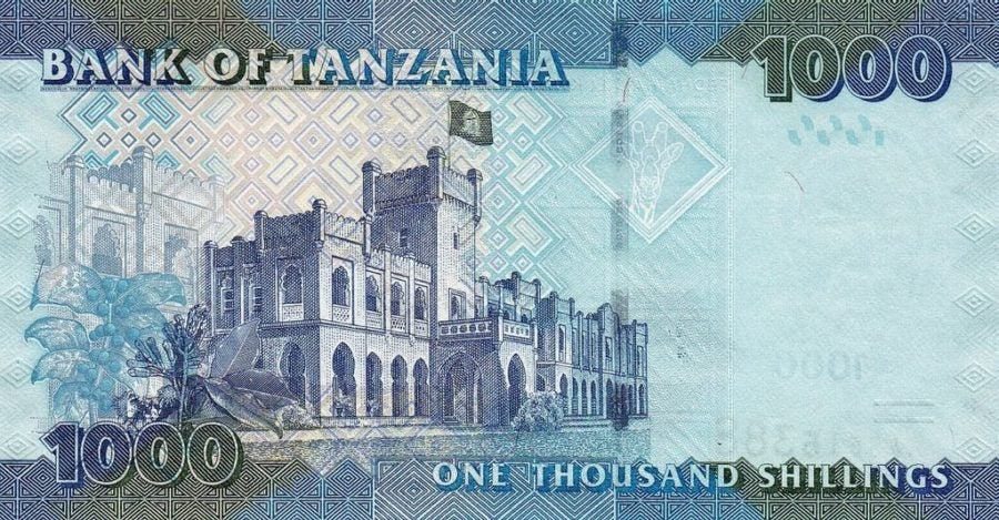back of Tanzania currency
