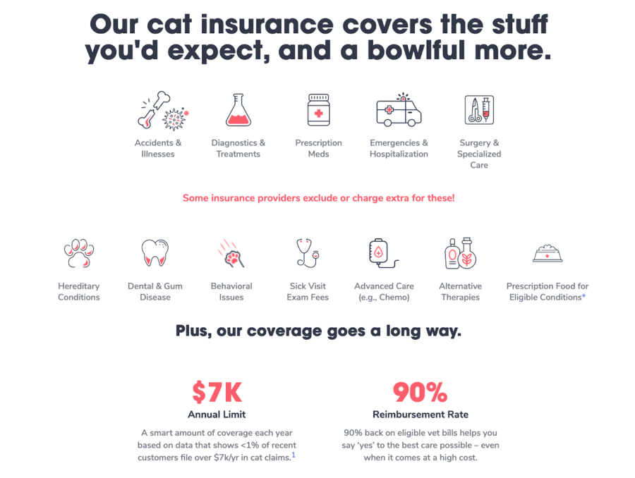 Pumpkin Pet Insurance Review 2022 • Pros, Cons & More